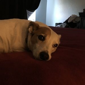 Meet your Posher, Jocelyn